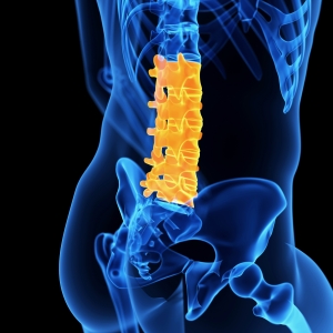 The lumbar spine is the lower portion of the backbone.
